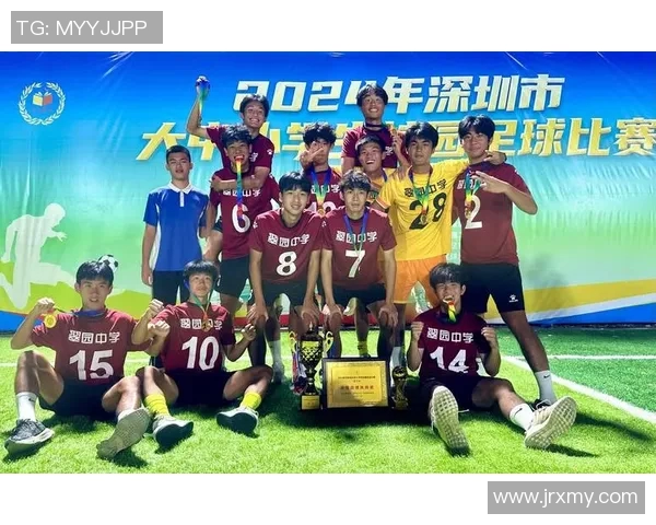 深圳足球队个人能力分析与战术配合的深度探讨