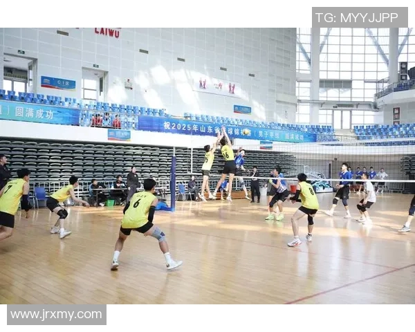 北京排球队的速度之谜揭秘:排球巨献带你领略竞技魅力与团队精神