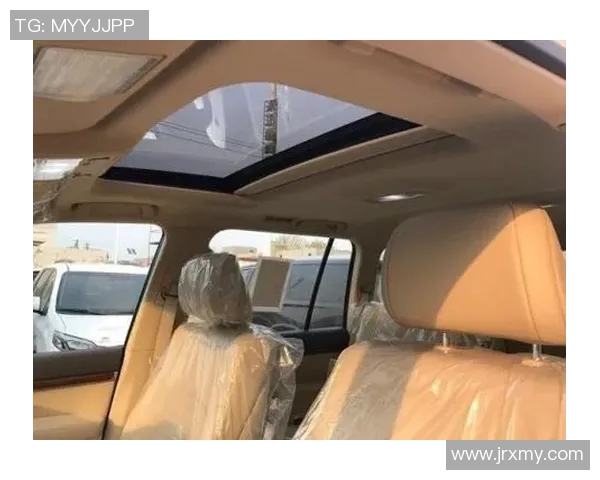 南京网球队在洲际杯积分榜中以95分稳居第一名展现强劲实力